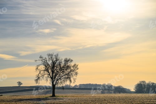 Preview: Scenic landscape featuring an open field blanketed in lush green grass