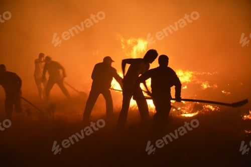 Vista previa: Firefighters battling a nighttime wildfire.