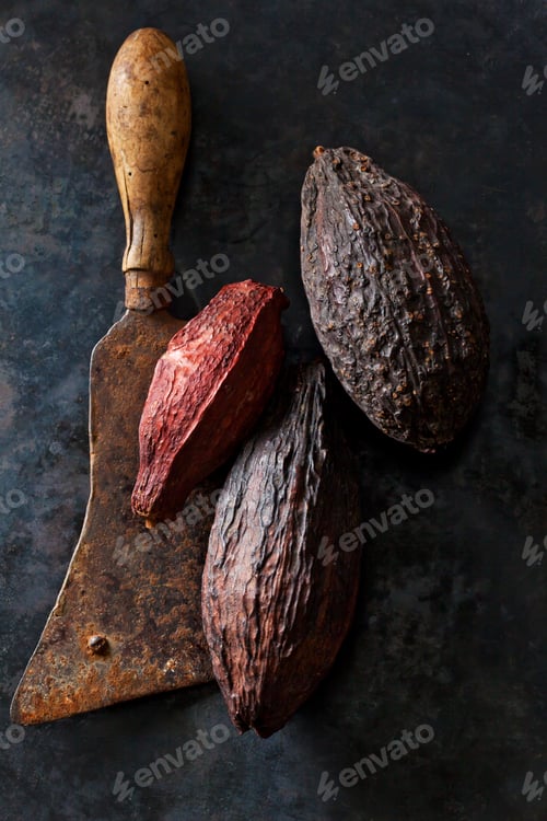 Preview: Cocoa fruit on an old cleaver