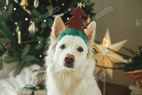 Preview: Adorable dog with festive tree headband sitting on background of stylish decorated christmas tree