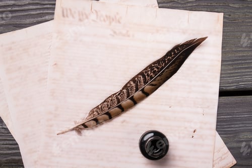 Preview: Top view quill feather and ink.