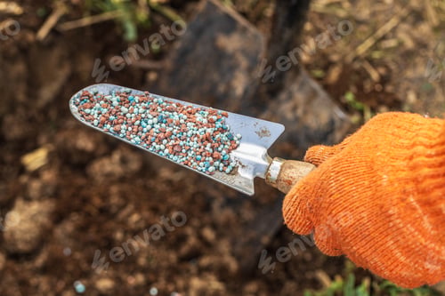 Preview: A gloved hand holds a shovel and fertilizes the ground before planting, autumn