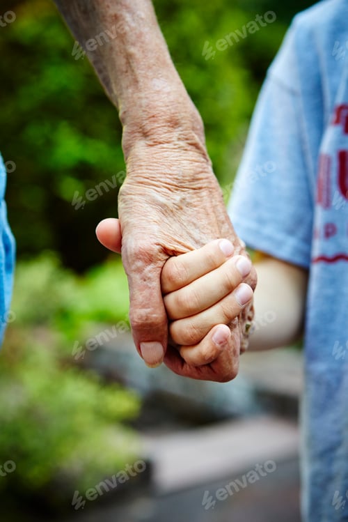 Preview: Cropped close up of senior woman and grandson hands holding in park