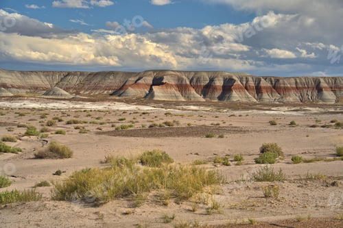 Preview: Petrified Forest National Park in Arizona USA