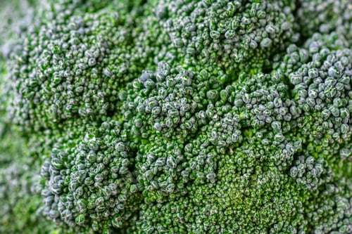 Preview: Pattern of broccoli. Macro photo green broccoli texture. Fresh green broccoli vegetable