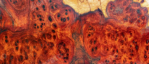 Preview: Nature burl wood striped