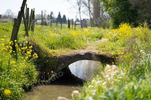Preview: Small stony bridge over a narrow river in an idyllic countryside setting