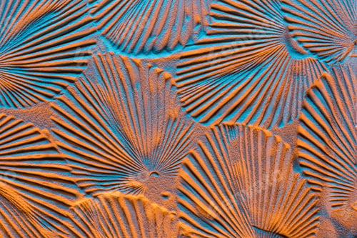 Preview: top view of textured backdrop with leaf prints on sand and color filter