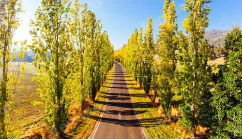 Preview: Gould Memorial Drive in Marysville in Australia