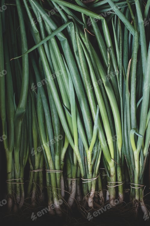 Preview: High angle close up of bunches of freshly picked spring onions.