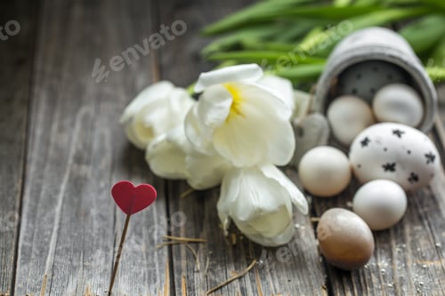 Preview: Easter eggs and white tulips