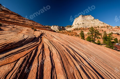 Preview: Landscape in Zion National Park