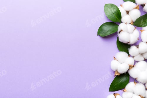 Preview: Autumn Floral Flat lay background composition. Dried white fluffy cotton flower branch