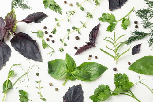 Preview: Different herbs and spices on white background, top view