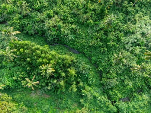 Preview: Topview green forest on the world. Ecosystem ecology healthy environment. Natural background.