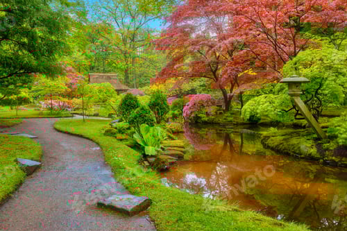 Preview: Japanese garden, Park Clingendael, The Hague, Netherlands