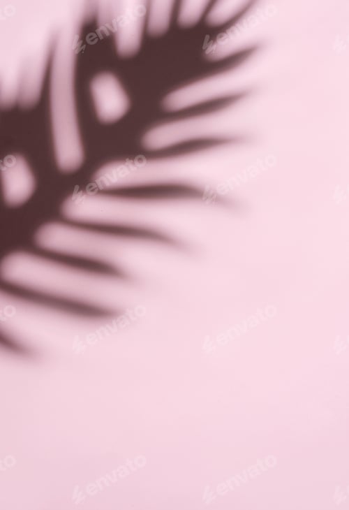 Preview: Blurred Palm Fronds in Soft Light Creating a Dreamlike Pattern