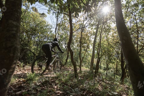 Preview: Mountain biking on spring forest trail