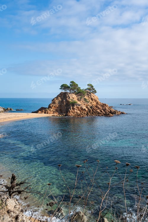 Preview: Small island with trees emerging from the transparent waters of the mediterranean sea