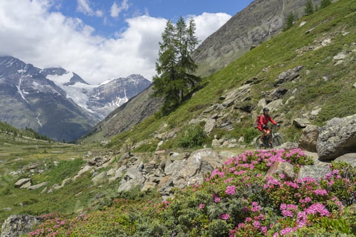 Preview: senior woman on electric mountain bike in the swiss alps