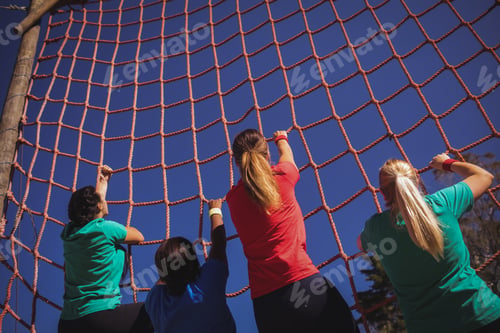 Preview: Group of fit woman climbing a net during obstacle course training