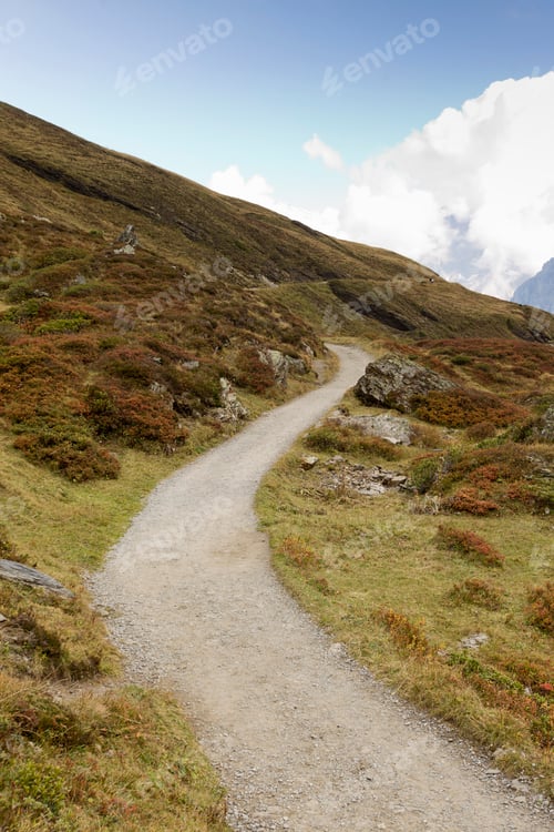 Preview: View of dirt track on hillside, Grindelwald, Switzerland