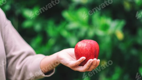Preview: A woman holding a fresh red apple in hand