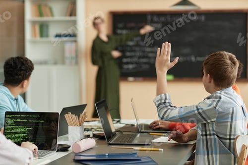 Preview: Teen boy raising hanswering question in class at school
