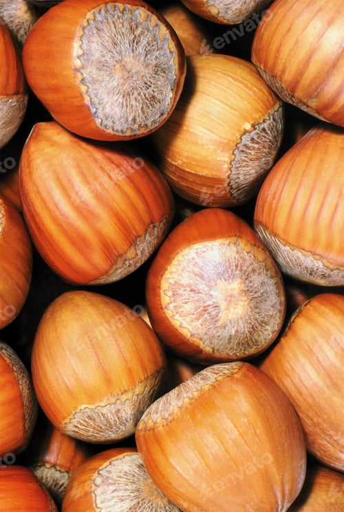 Preview: nuts background view