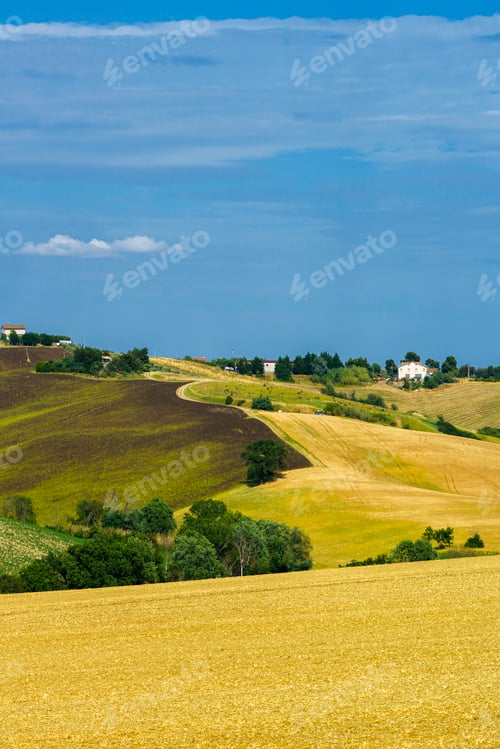 Preview: Rural landscape near Ostra Vetere and Cingoli, Marche, Italy
