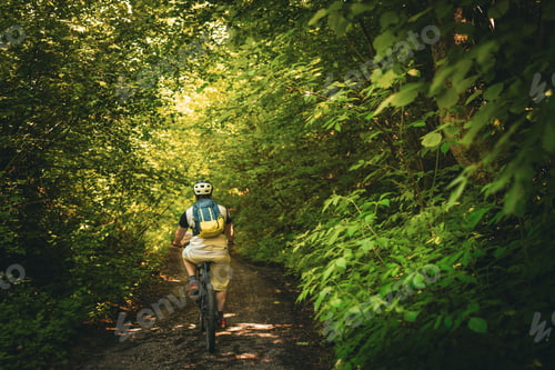 Preview: Cyclist riding through a green forest trail