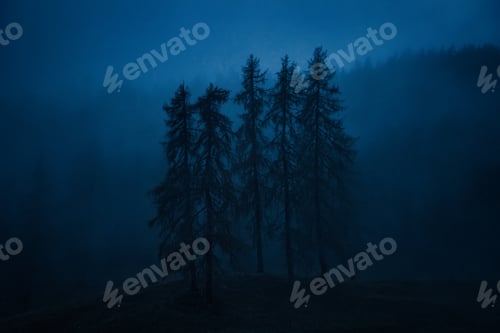 Preview: Dramatic Trees in Dolomites Mountains. Autumn season. Italy