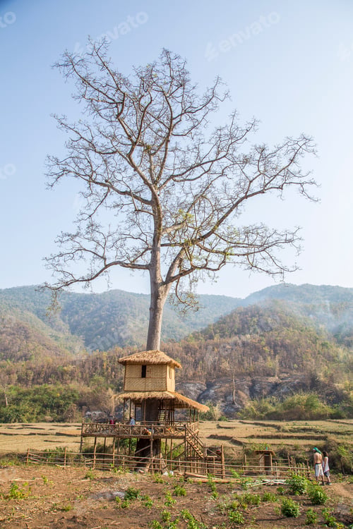 Preview: A tree house for tourists in Pyin Oo Lwin
