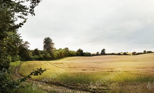Preview: Its all calm along the countryside. Still life shot of an open field along the countryside.