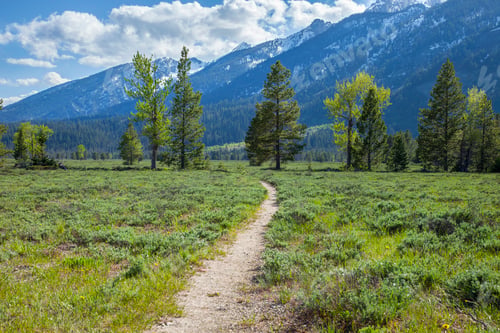 Preview: Hiking path below the Grand Teton mountains in Wyoming on a sunny day