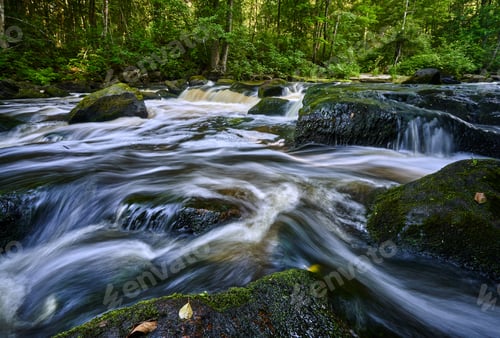Preview: Scenic ivew of a river flowing through a lush forest with trees and rocks