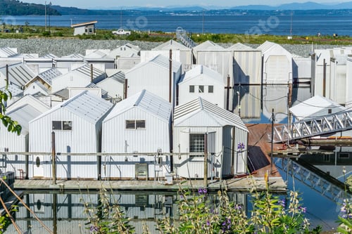 Preview: Boat Sheds At A Marina In Tacoma, Washington.