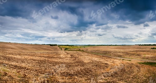 Preview: Field after harvest, stubble of harvested grain under a dramatic cloudy sky