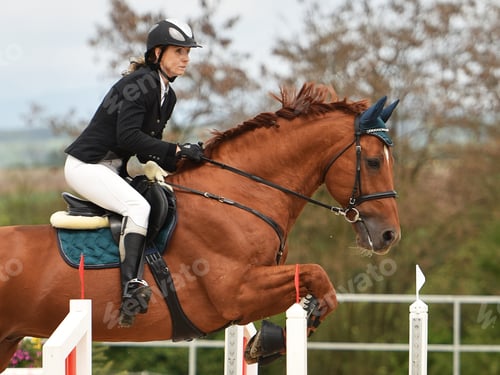 Preview: Young Girl In Jumping Show
