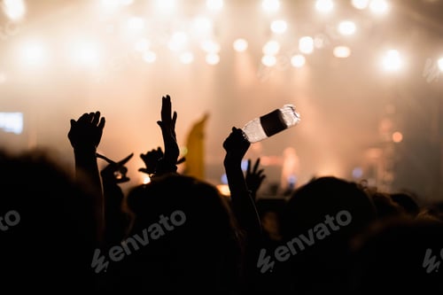 Preview: crowd at concert - summer music festival
