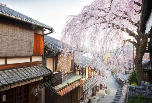 Preview: Sannenzaka Street with Cherry Blossoms, Kyoto, Japan