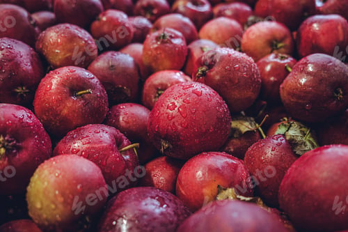 Preview: Freshly harvested red apples
