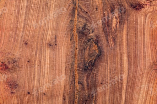 Preview: Tree plank texture for background. Cut tree trunk texture. Wood texture