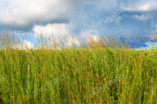 Preview: Springtime in the countryside