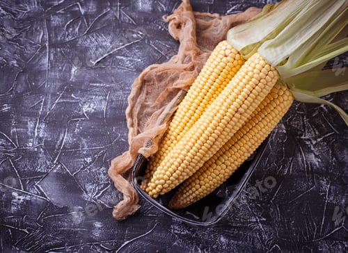 Preview: Fresh raw corn on concrete table