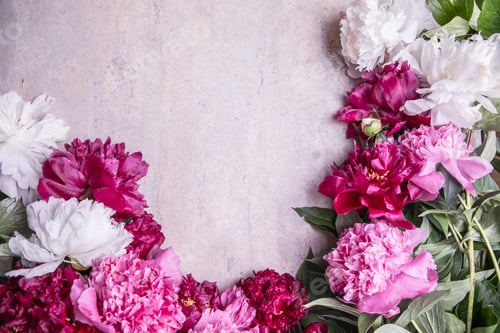 Preview: Beautiful pink peony bouquet art background. Blooming pastel flowers card design.