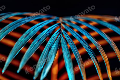 Preview: background with colored palm leaf, isolated on black