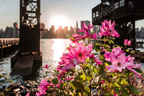 Preview: Beautiful sunset view from Gantry Plaza State Park in Long Island City.