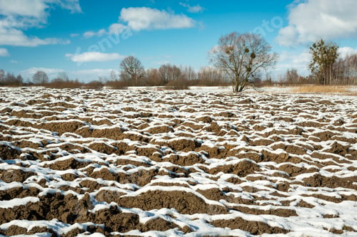 Preview: A ploughed field covered with snow