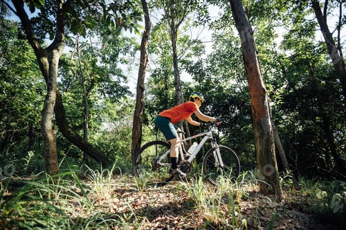 Preview: Mountain biking in summer forest